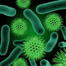 Vai trò quan trọng của vi sinh trong mục tiêu phát triển bền vững của Liên hợp quốc